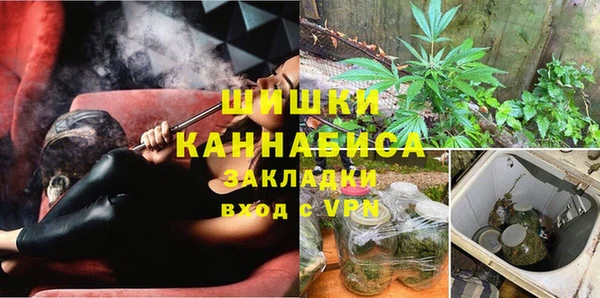 прущие крисы Вяземский