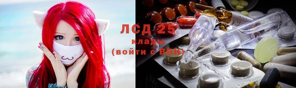 прущие крисы Вяземский