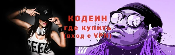прущие крисы Вяземский