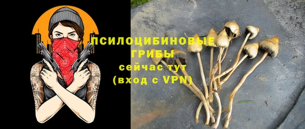 прущие крисы Вяземский