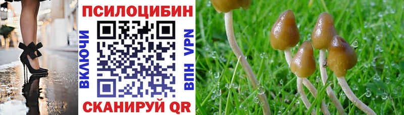 Галлюциногенные грибы ЛСД  Купить закладки  Ялуторовск 